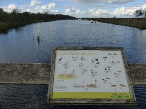 Lille Vildmose water